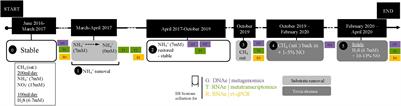 Unraveling Nitrogen, Sulfur, and Carbon Metabolic Pathways and Microbial Community Transcriptional Responses to Substrate Deprivation and Toxicity Stresses in a Bioreactor Mimicking Anoxic Brackish Coastal Sediment Conditions